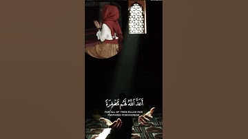 قران كريم 💛سبحان الله وبحمده سبحان الله العظيم