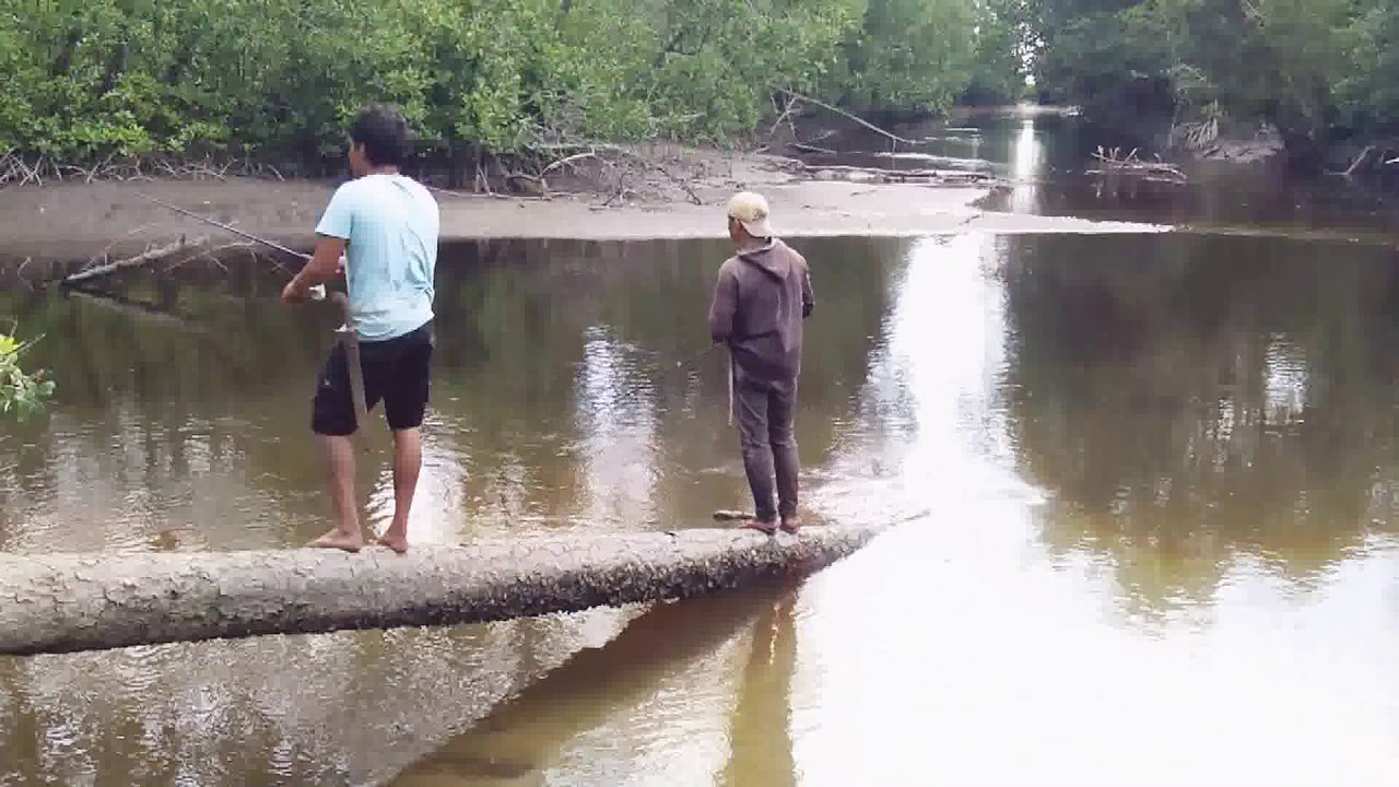 Casting di sarang BUAYA