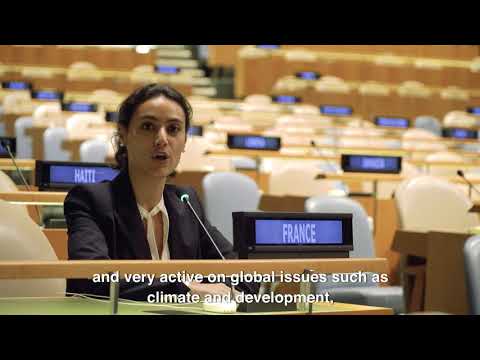 Vídeo: Com Pren Les Decisions L’ONU