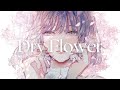 Yuuri - “Dry Flower” | English Cover by IN0RI