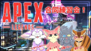 【APEX】今日はAPEX合同練習会だよ！🐾【ケモV】