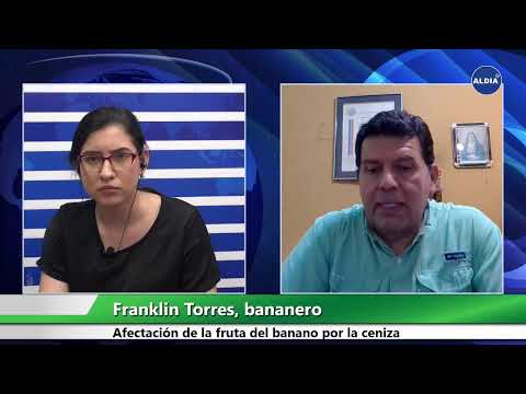 Hoy dialogamos con Franklin Torres, presidente de la Federación Nacional de Productores Bananeros de