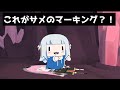 サメちゃんなにやってんの?!カリの上での仕草が可愛すぎる!!これがサメのマーキング?!【がうるぐら】