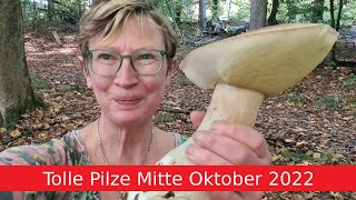 Tolle Pilzvielfalt Im Oktober 2022
