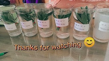 SSC Assignment 2021 Biology 4th Week (Presented by Nadia Islam Robaiya & Kanij Fatema Hima)