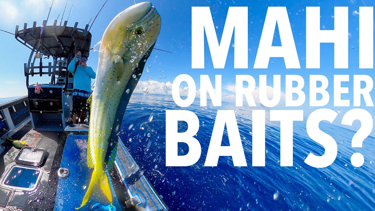 Best Lures and Rigs for Mahi and Tuna 