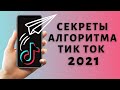 Как работает алгоритм Тик Ток 💥 Как попасть в рекомендации Tik Tok