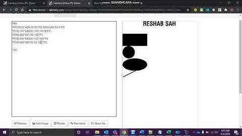 Zebra Designing Shapes (cricle,box,eclipse,diagonal) | Zebra Programming Language | ZPL