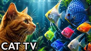 🔴 LIVE Cat TV 🐱 Aquarium for Cats | Fish for Cats to Watch (No Music)