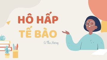 HÔ HẤP TẾ BÀO - Khoa học tự nhiên 7 - OLM.VN