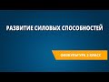 Развитие силовых способностей