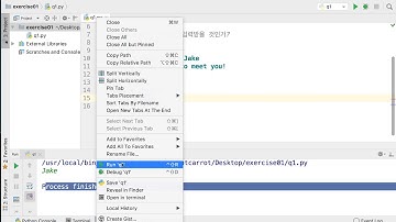 [코딩트레이닝 파이썬] 01 입력과 출력
