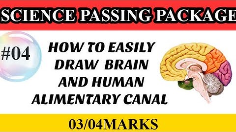 #sslcsciencepassingpackage             SSLC SCIENCE PASSING PACKAGE|HOW TO WRITE  DIAGRAMS EASILY