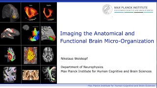 BrainMap: Imaging the Anatomical and Functional Brain Micro-Organization
