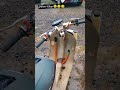 Test vespa ninja blok ninja ninja vespa kawasaki