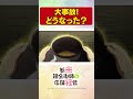 可愛いお花さんだとおもったら……。TVアニメ【新米錬金術師の店舗経営】 #shorts  #新米錬金術師 #shinmai_renkin #錬金  #サラサ　#大事故　#もしや……
