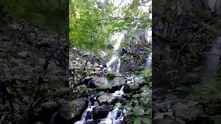Boyana waterfall Боянски водопад