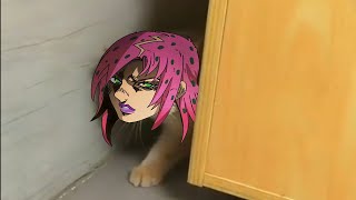 Kono Diavolo Cat