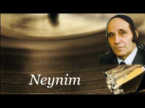 Niyameddin Musayev-Neynim