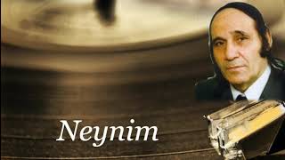 Niyameddin Musayev-Neynim