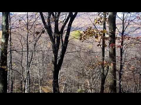 5 Upland Pastures Rd, Sherman, CT home video tour