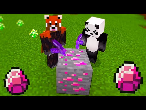 STIAI CA EXISTA DIAMANTE ROZ IN MINECRAFT?! Le-am Gasit Pe Primele