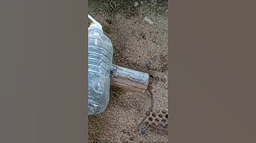 Small Easy Plastic Bottle Mouse Trap | DIY Homemade Part 01