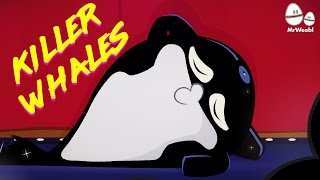 There is much proof that Killer Whales really are the baddest boys....
