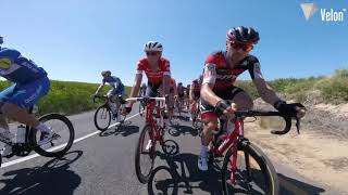 Velon Data Explainer Cadence