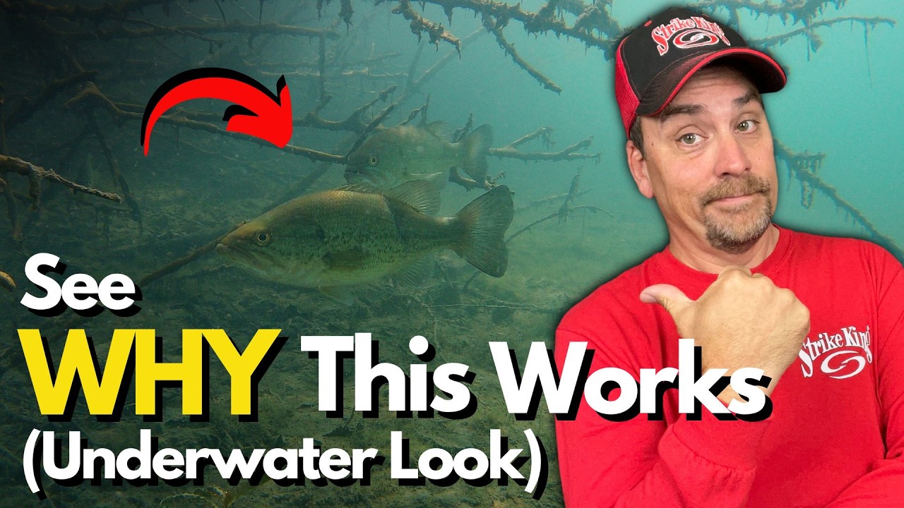 The Summer Bass Pattern I Trust Every Year (Plus KEY Baits)
