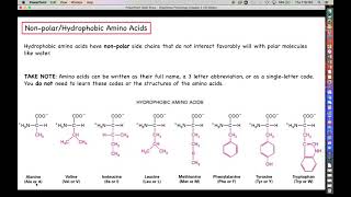 Human Physiology - NEW Chapter 2 Lecture - Part 6 - Protein Structure and Function