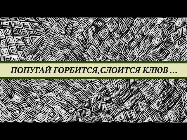 У попугая монаха искривление шеи, слоится клюв, не ест корм. Кишечная палочка и кампилобактериоз.