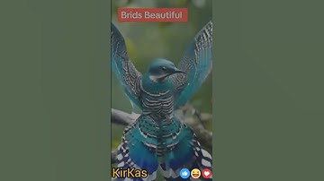 How to convert video to gif | Convert video to gif | Make a gif in canva | Create a gif in canva