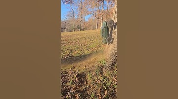 Tree Backflip ARRMA Big Rock!
