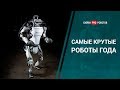 2019: Самые крутые роботы года за 7 минут