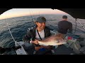 BIG SNAPPER Gold Coast (float lining)