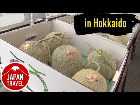 Japan Travel Hokkaido-YUBARI-