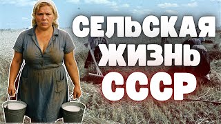 видео: Жизнь в деревне СССР: труд, быт и сила, державшая страну картинка: Жизнь в деревне СССР: труд, быт и сила, державшая страну