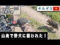 【2022.6.10】山奥で野犬に襲われる　キルギスでキャンプ