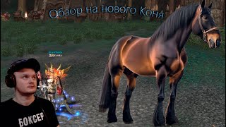 картинка: Обзор на Реворк Коня LineageII Essence