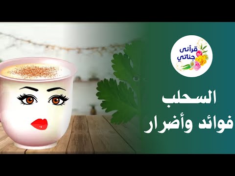 حوار شيق عن فوائد السحلب وأضراره غذائي صحتي الصحة