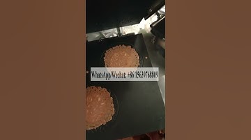 Indonesia hot selling Egg Roll Maker Chocolate Wafer Sheet Stick Line Icecream Cone Fill Machine