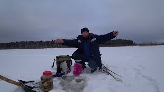 ЗА НАЛИМОМ на ДОМАШНЕЕ ОЗЕРО. СТАВЛЮ ЖЕРЛИЦЫ ПОСТАВУХИ.