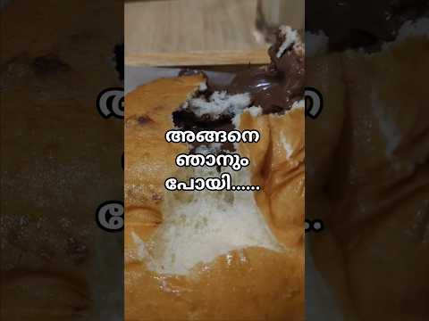 Bun Boy Nutella Bombaloni Sandwich Youtubeshorts Viralvideo Conciouscravingsbyachu 