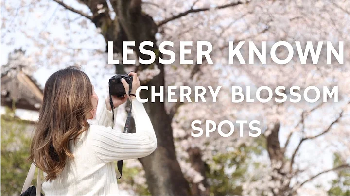 5 LESSER KNOWN Cherry Blossom Spots In Tokyo - DayDayNews