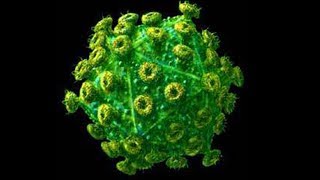 Ученые нашли вакцину от СПИДа!
