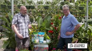 Building a Flowering Container Garden