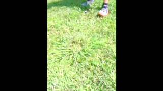 Nerf Vortex Diatron-Range Test (made with Videoshop) #videoshop