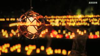 2014　なら燈花会プレイベント 奈良公園