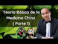 Teoría Básica de la Medicina Tradicional China (1 parte) NUEVA EDICIÓN 😼: Introducción a conceptos